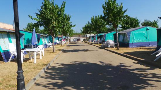 Campingdreams Resort Els Pins Malgrat Mar Santa Susanna Spanien Katalonien Campingdreams Com